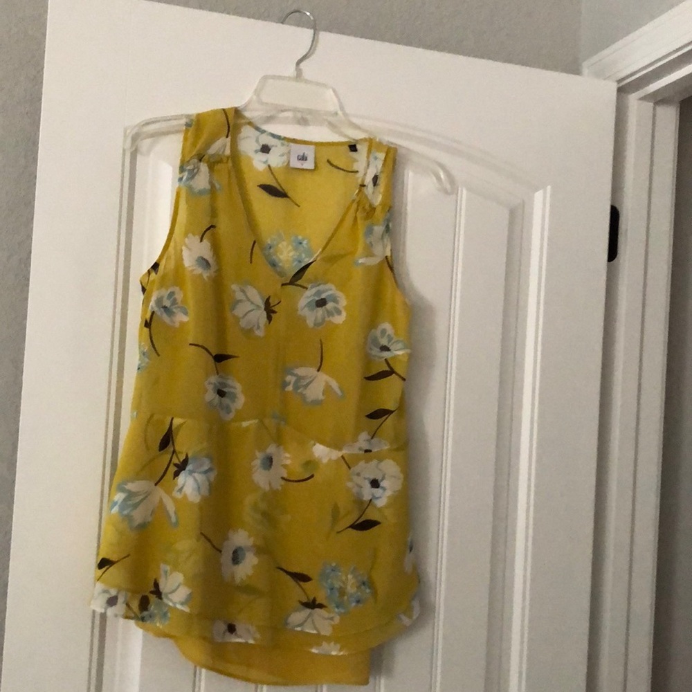 Cabi blouse never wore